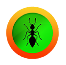 ant.png