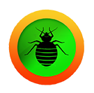 bedbug.png