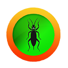 earwigs.png