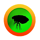 flea.png