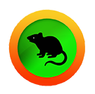 mouse.png