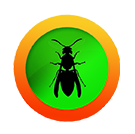 wasp.png